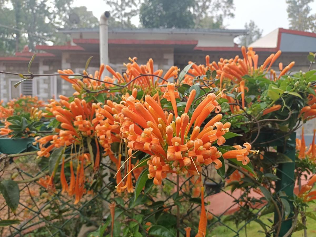 Hotel Coorg Kolamotte Gonikoppal Exteriér fotografie
