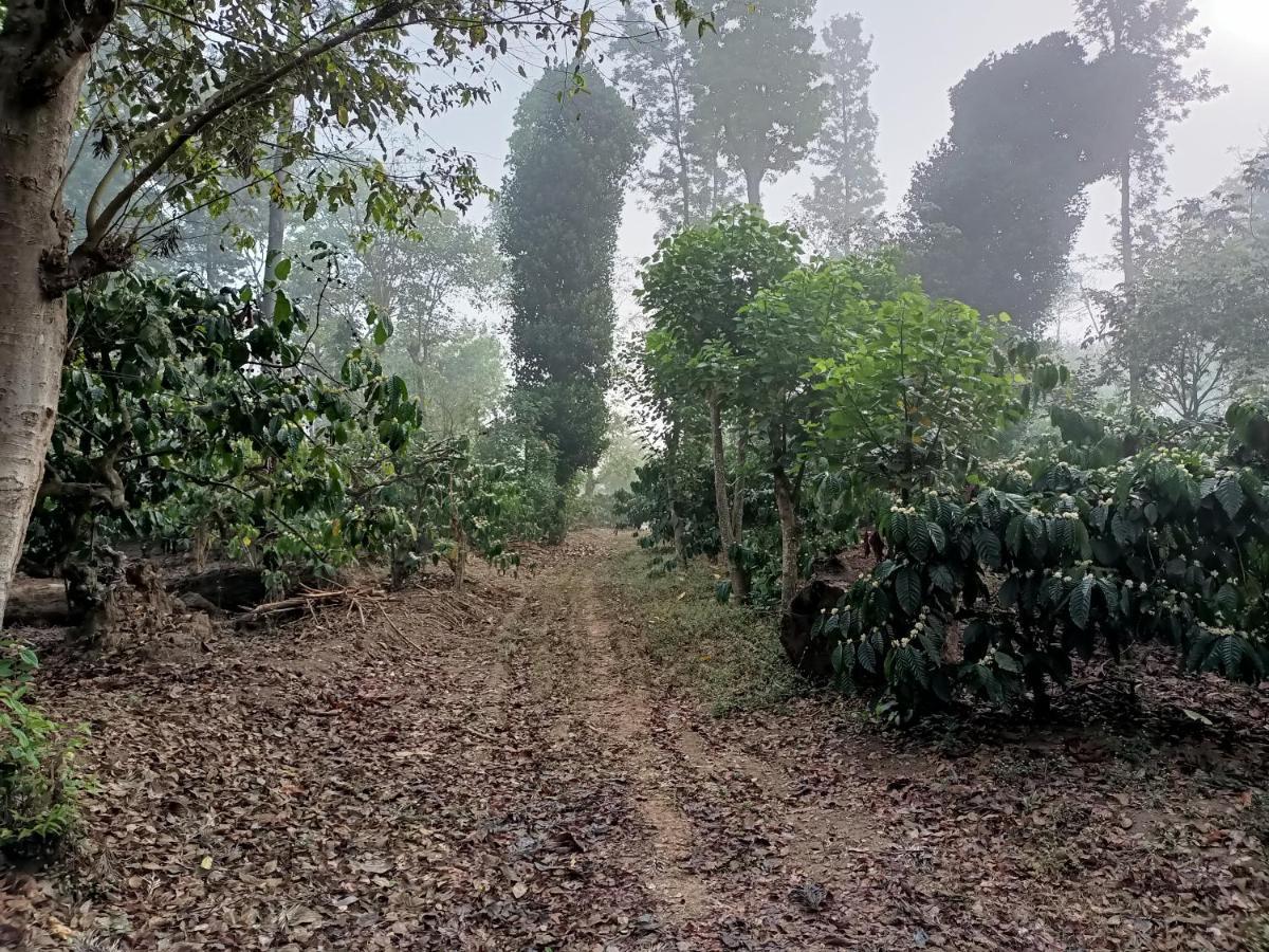 Hotel Coorg Kolamotte Gonikoppal Exteriér fotografie
